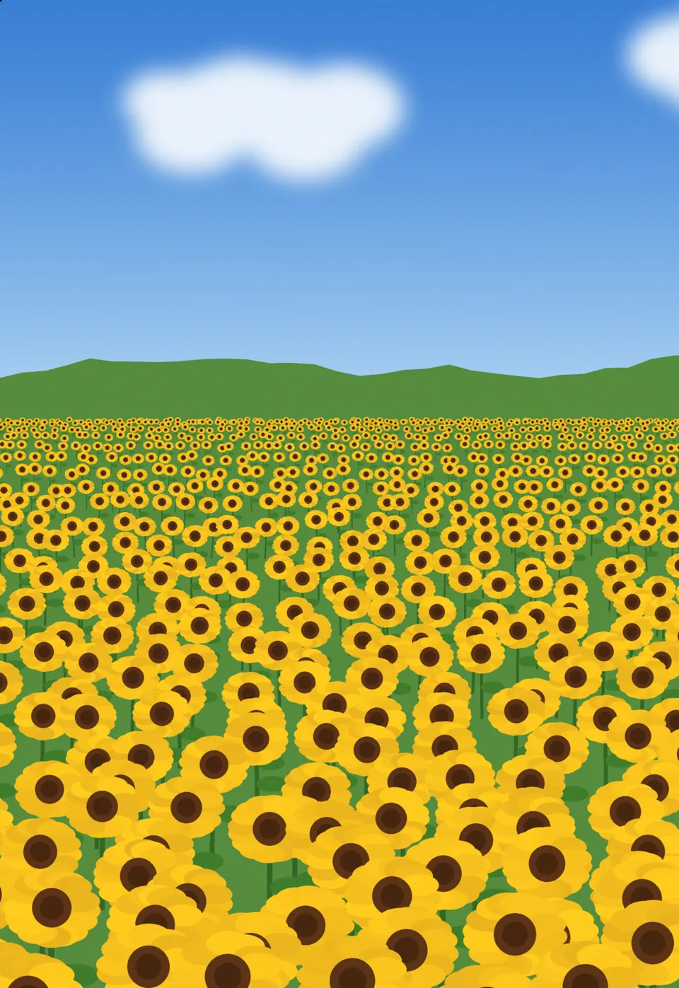 A library photo, a sunflower field, on the cover screen, as the person in front of the camera sees it.